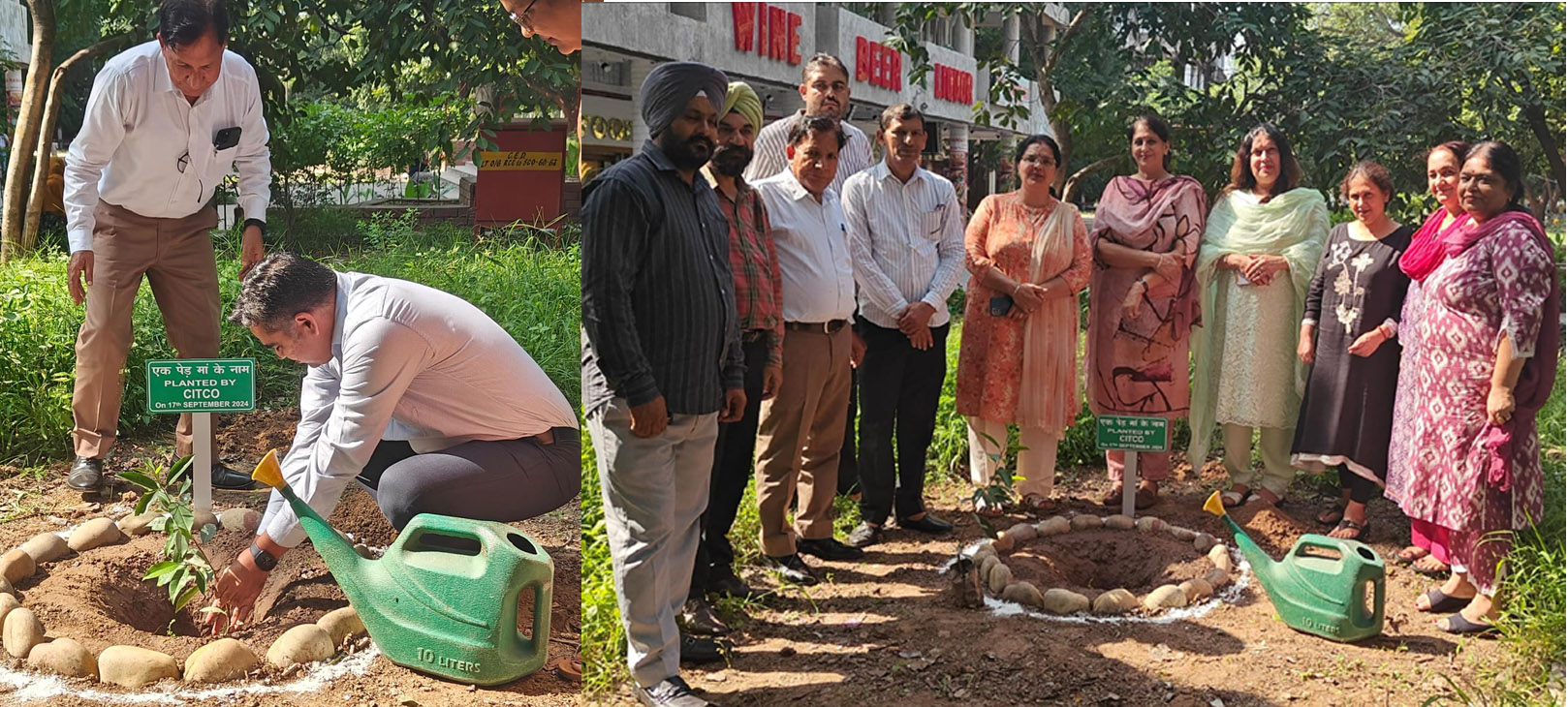 सिटको ने ‘एक पेड़ मां के नाम’ अभियान के समर्थन में विशेष पौधारोपण अभियान चलाया 
